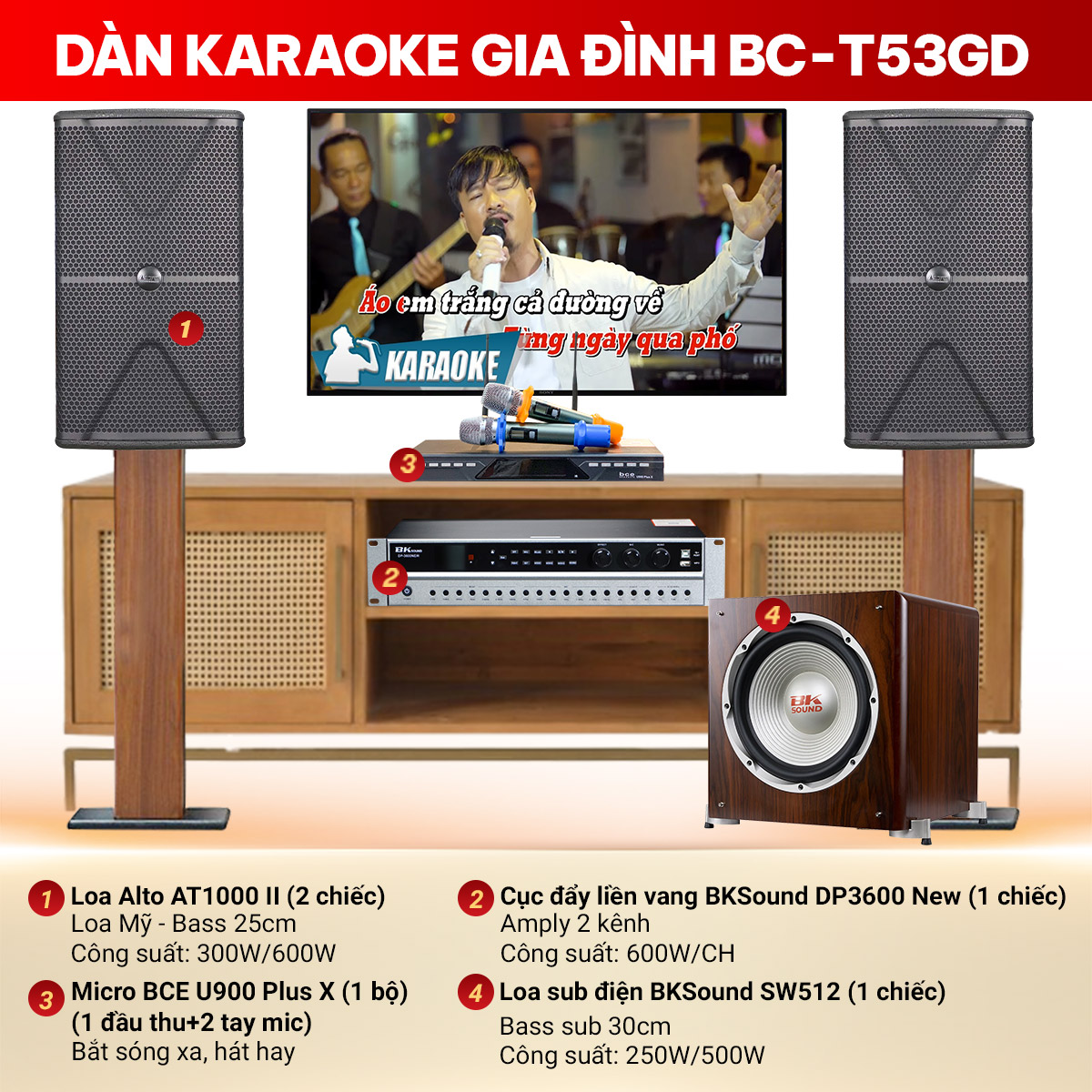 dàn karaoke BC-T53GD