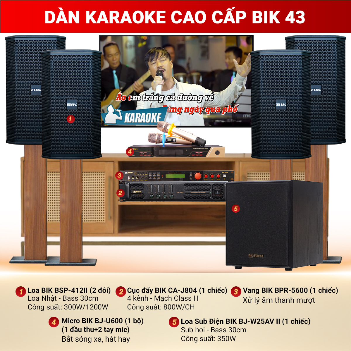 Dàn karaoke cao cấp BIK 43