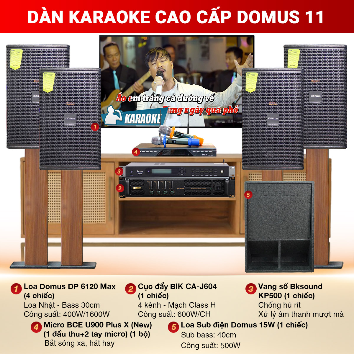 Dàn karaoke cao cấp Domus 11