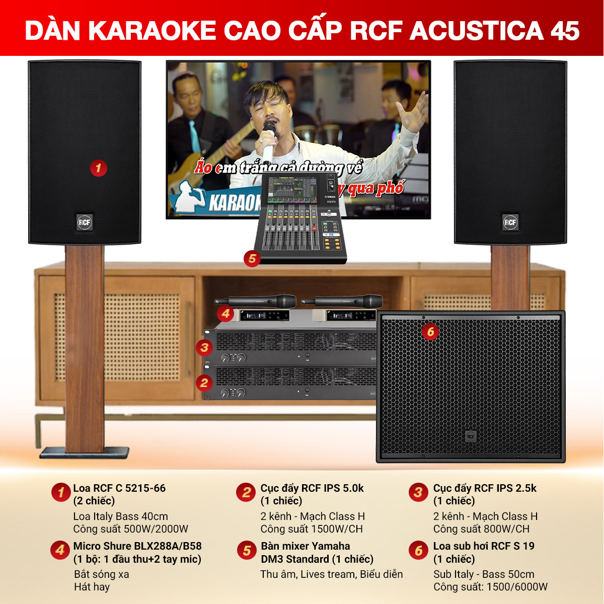 Dàn karaoke cao cấp RCF Acustica 45