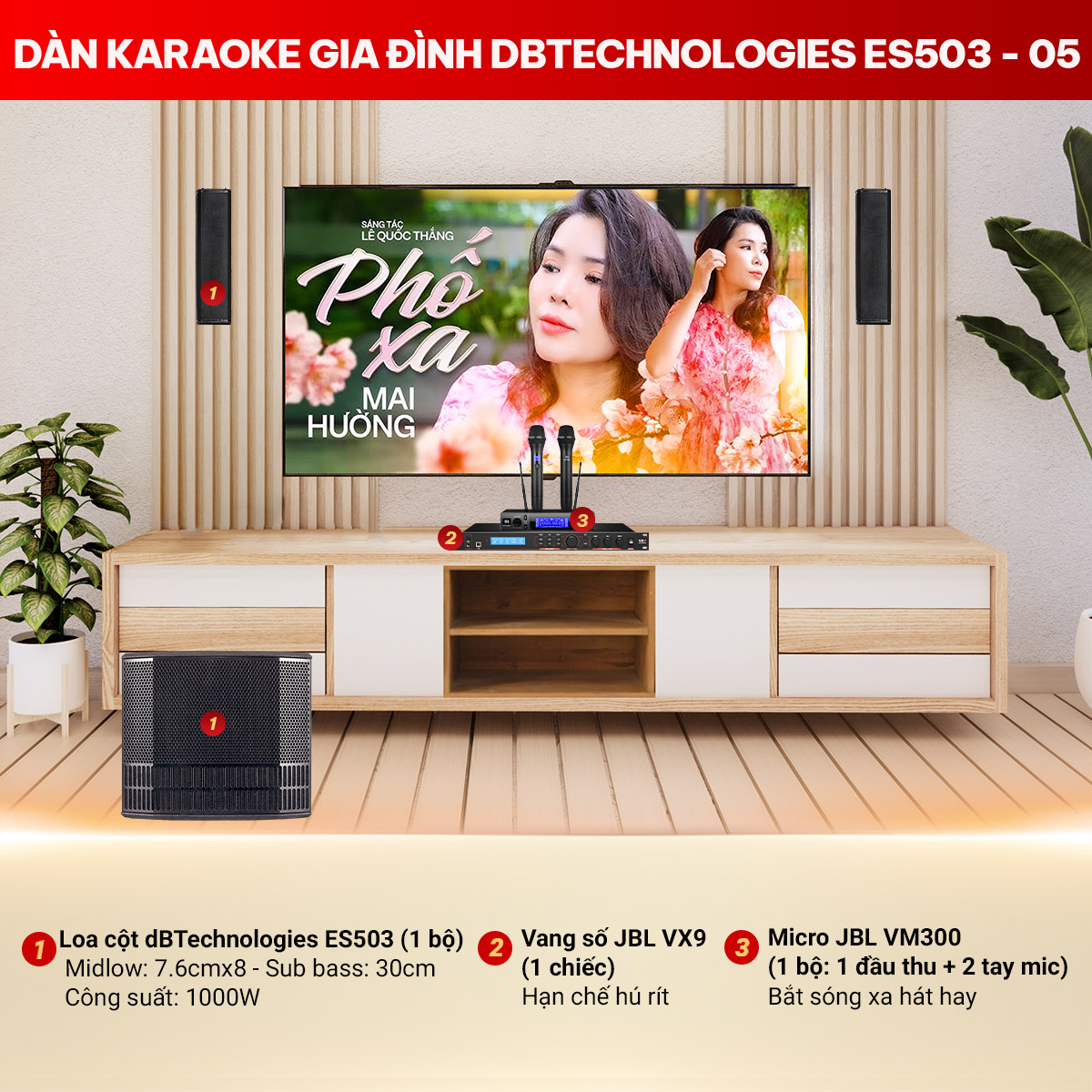 Dàn karaoke Gia Đình dBTechnologies ES503-05