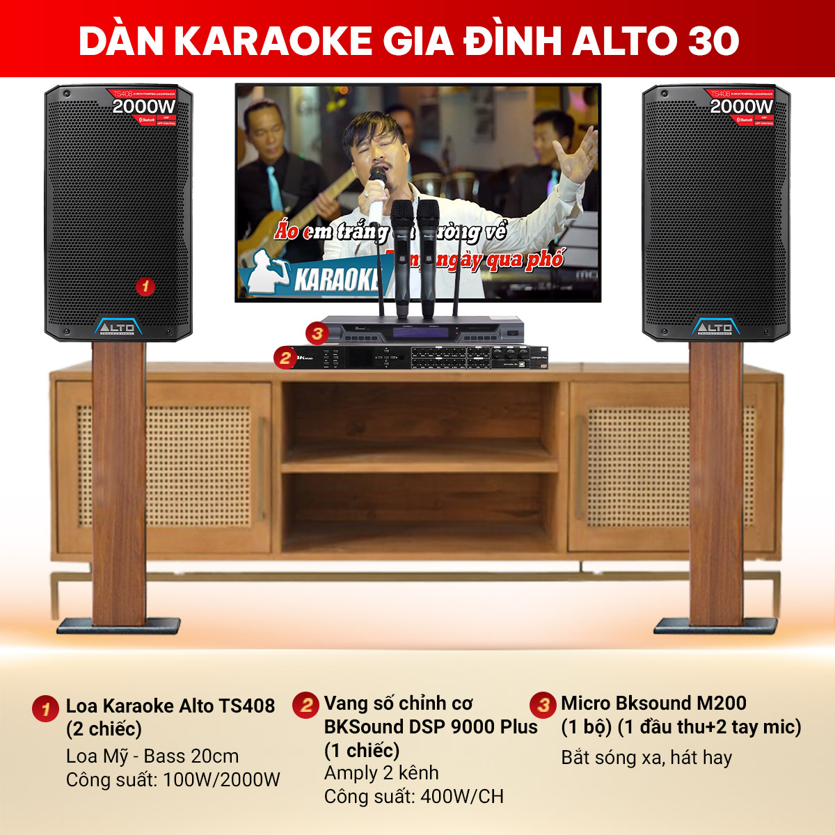 Dàn karaoke gia đình Alto 30