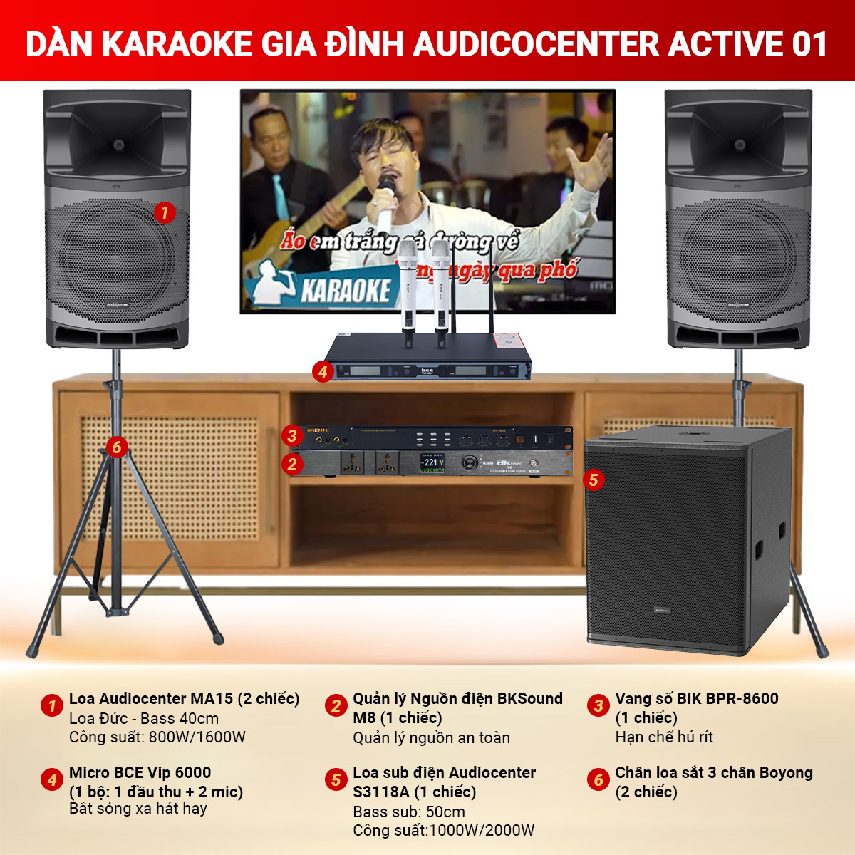 Dàn karaoke gia đình Audicocenter Active 01