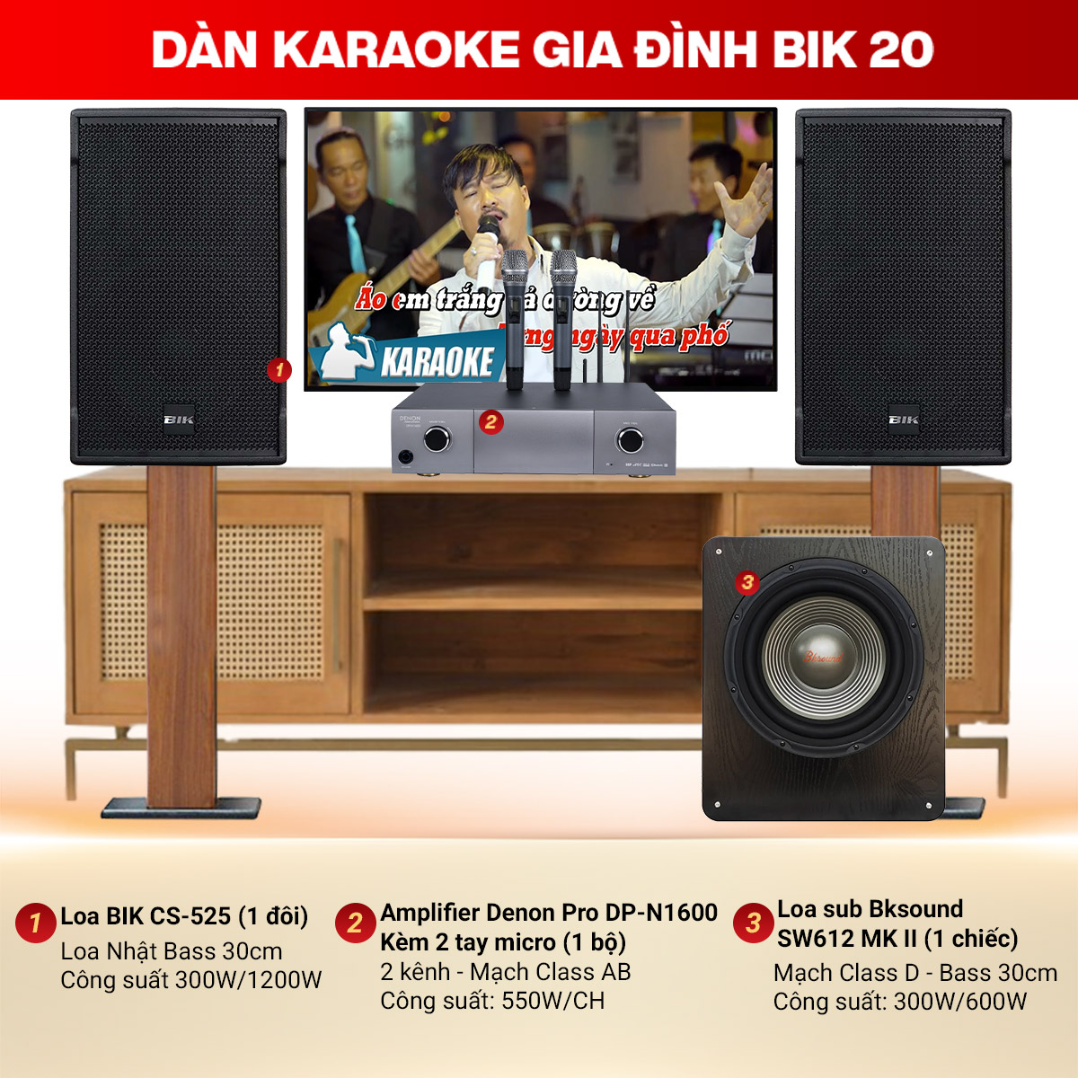 Dàn Karaoke Gia Đình BIK20