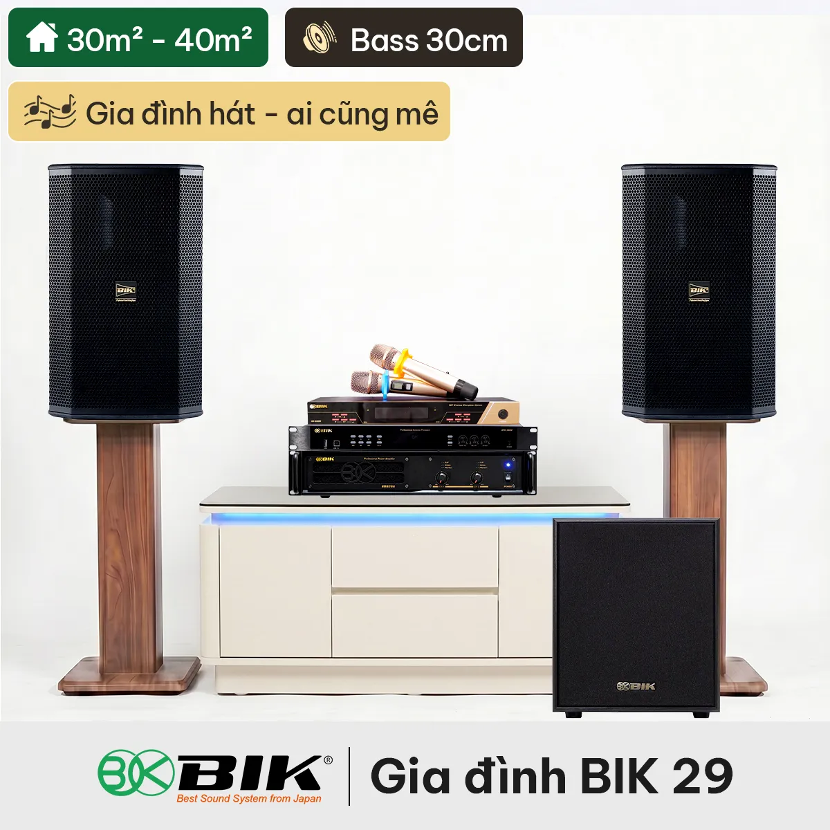Dàn karaoke gia đình BIK 29