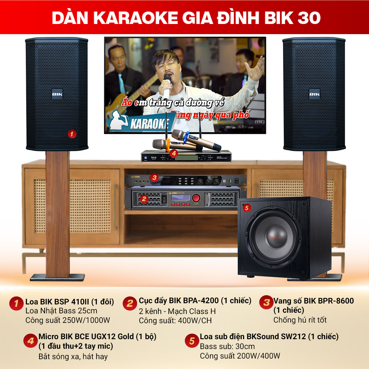 Dàn karaoke gia đình BIK 30