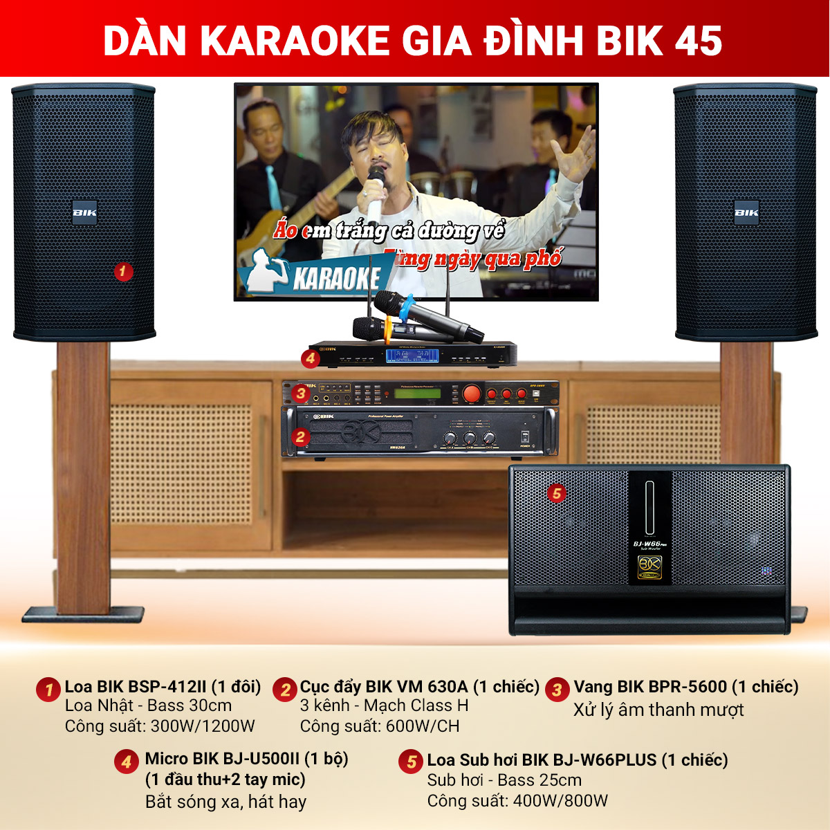 Dàn karaoke gia đình BIK 45