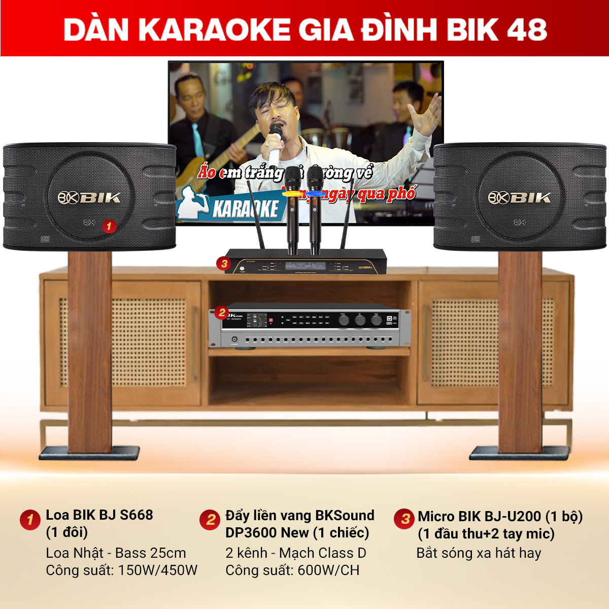 Dàn karaoke gia đình BIK 48