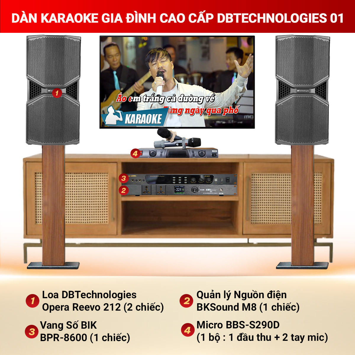 Dàn karaoke gia đình cao cấp dBTechnologies 01