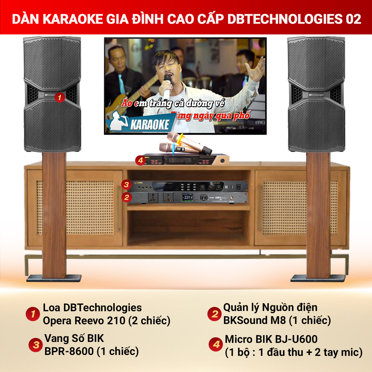 Dàn Karaoke Gia Đình Cao Cấp DBTechnologies 02