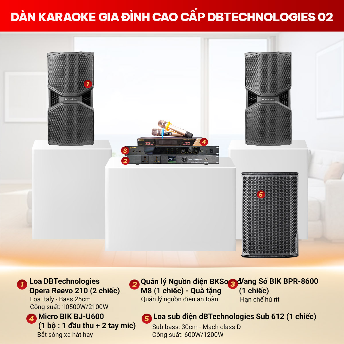 Dàn karaoke gia đình cao cấp dBTechnologies 02