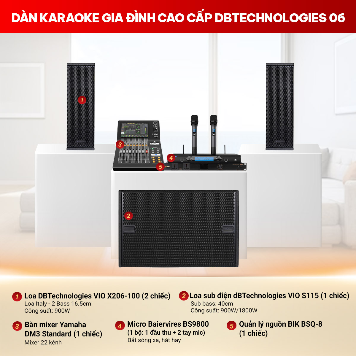 D&agrave;n karaoke gia đ&igrave;nh cao cấp dBTechnologies 06