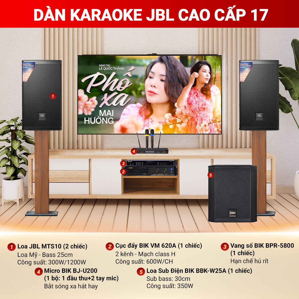 Dàn karaoke JBL cao cấp 17