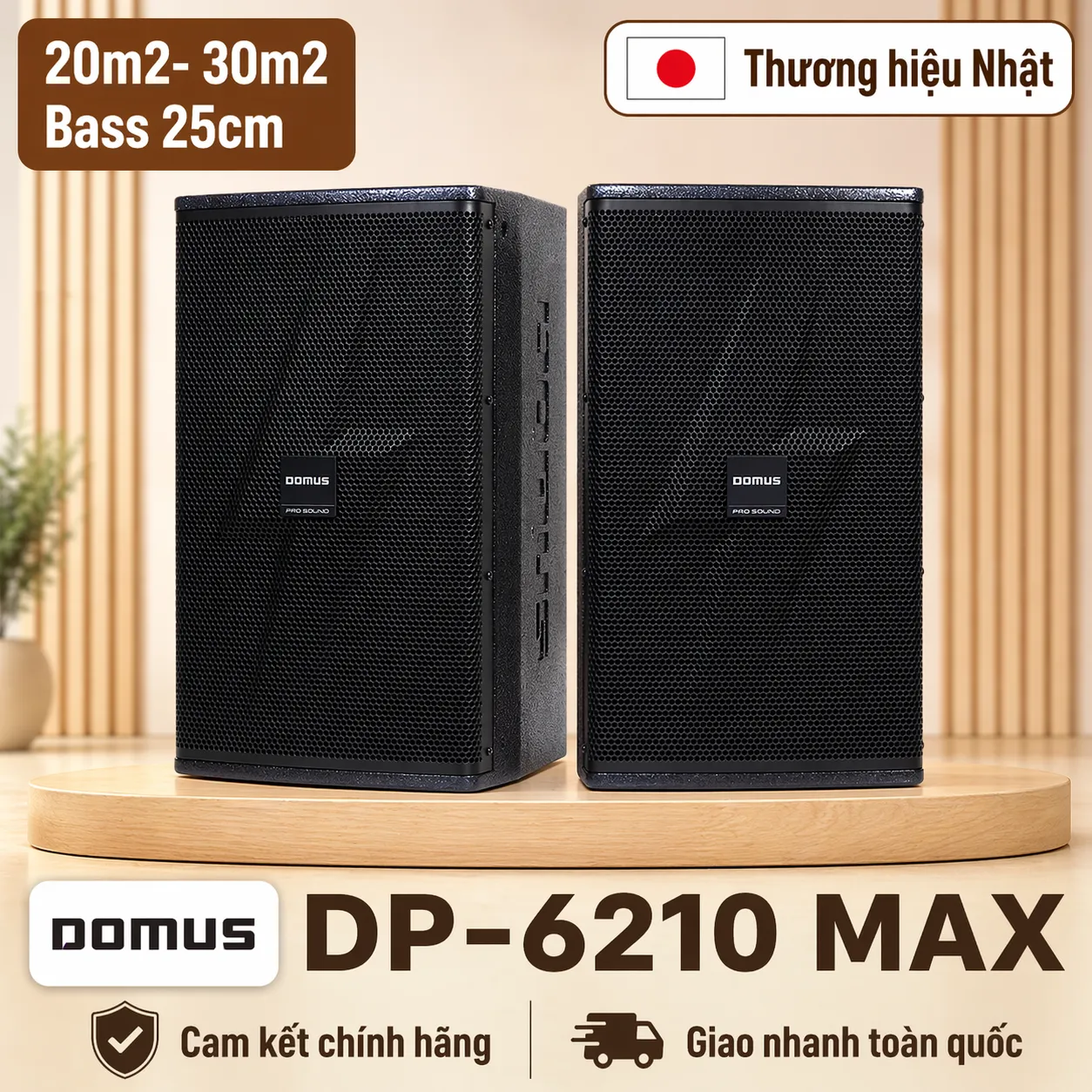 Loa Karaoke Domus DP-6210 MAX