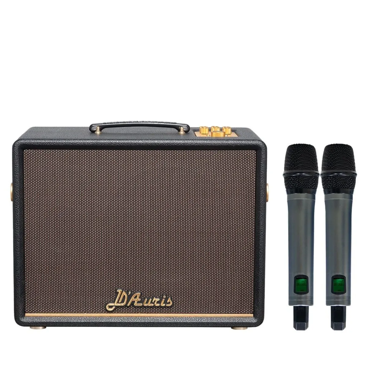 Loa Acnos D'Auris 200(Bass 25cm, 150W RMS, Kèm 2 micro) - Hình 2