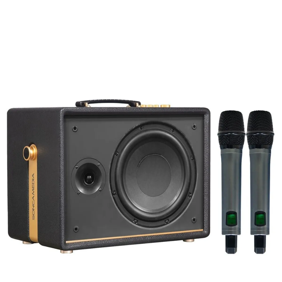 Loa Acnos D'Auris 200(Bass 25cm, 150W RMS, Kèm 2 micro) - Hình 2