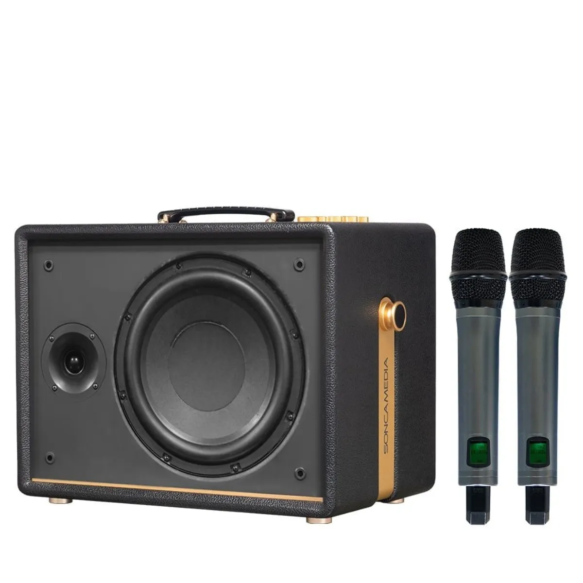 Loa Acnos D'Auris 200(Bass 25cm, 150W RMS, Kèm 2 micro) - Hình 2
