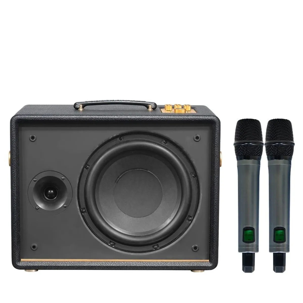 Loa Acnos D'Auris 200(Bass 25cm, 150W RMS, Kèm 2 micro) - Hình 2