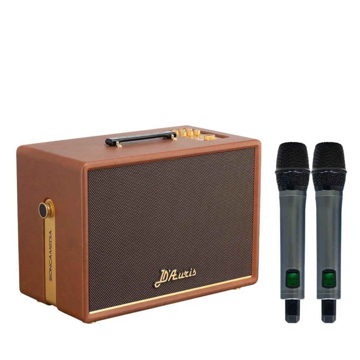 Loa Acnos D'Auris 200(Bass 25cm, 150W RMS, Kèm 2 micro) - Hình 3