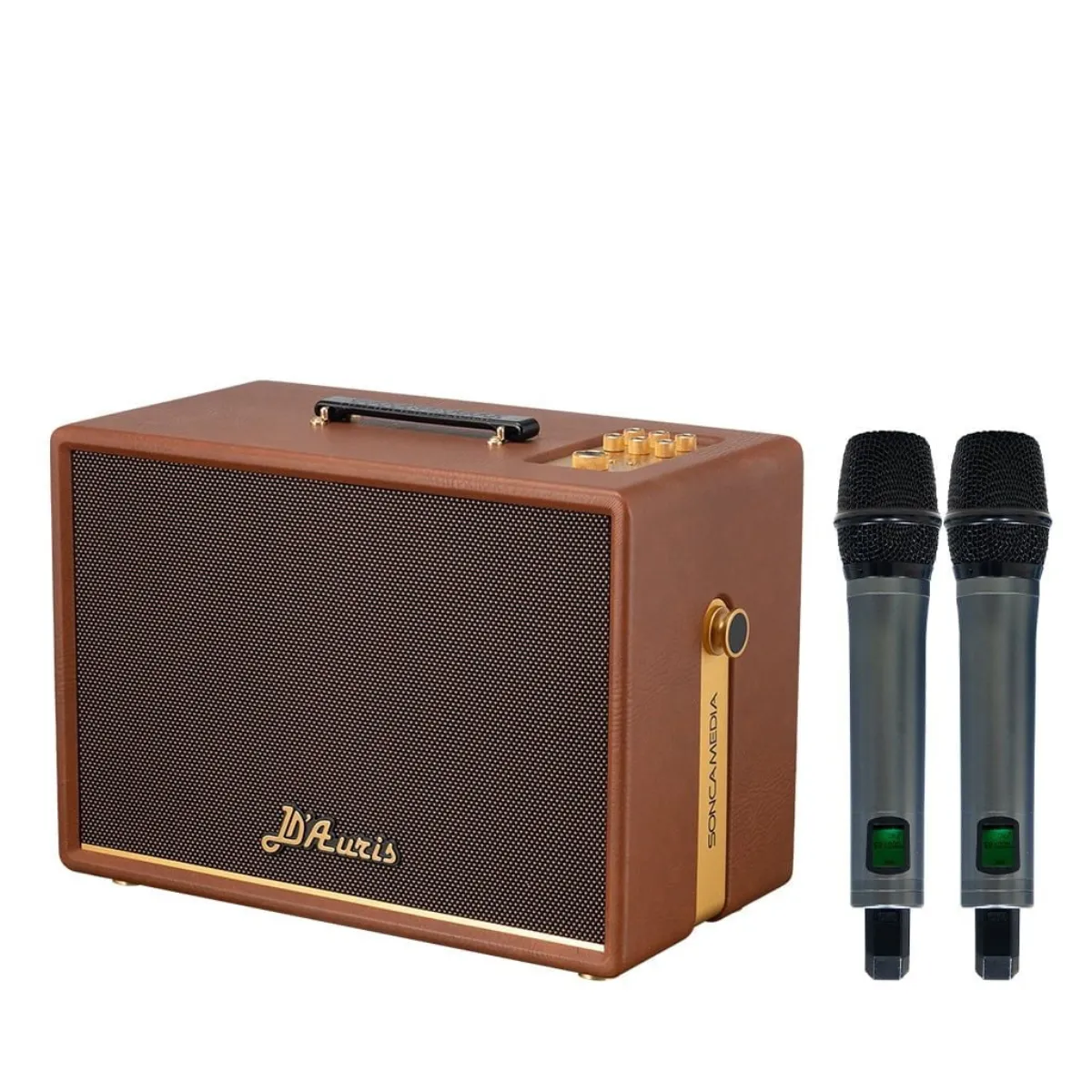 Loa Acnos D'Auris 200(Bass 25cm, 150W RMS, Kèm 2 micro) - Hình 3