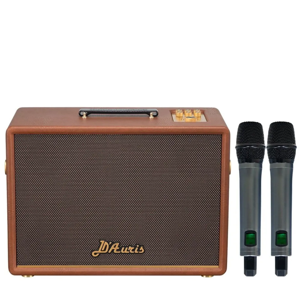 Loa Acnos D'Auris 200(Bass 25cm, 150W RMS, Kèm 2 micro) - Hình 3