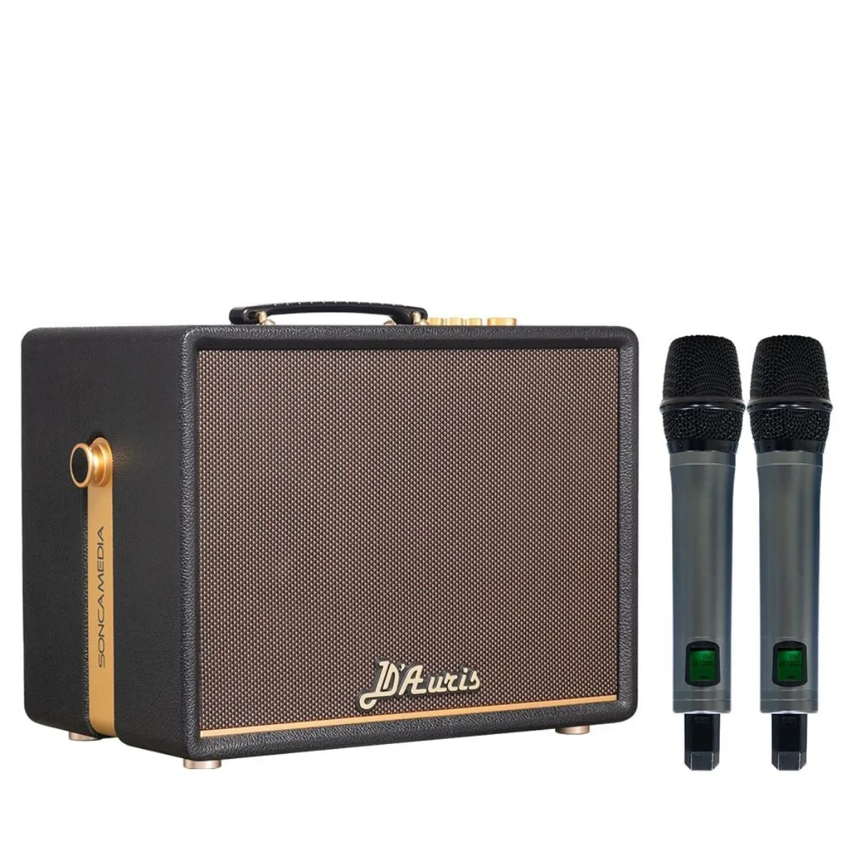 Loa Acnos D'Auris 200(Bass 25cm, 150W RMS, Kèm 2 micro) - Hình 2