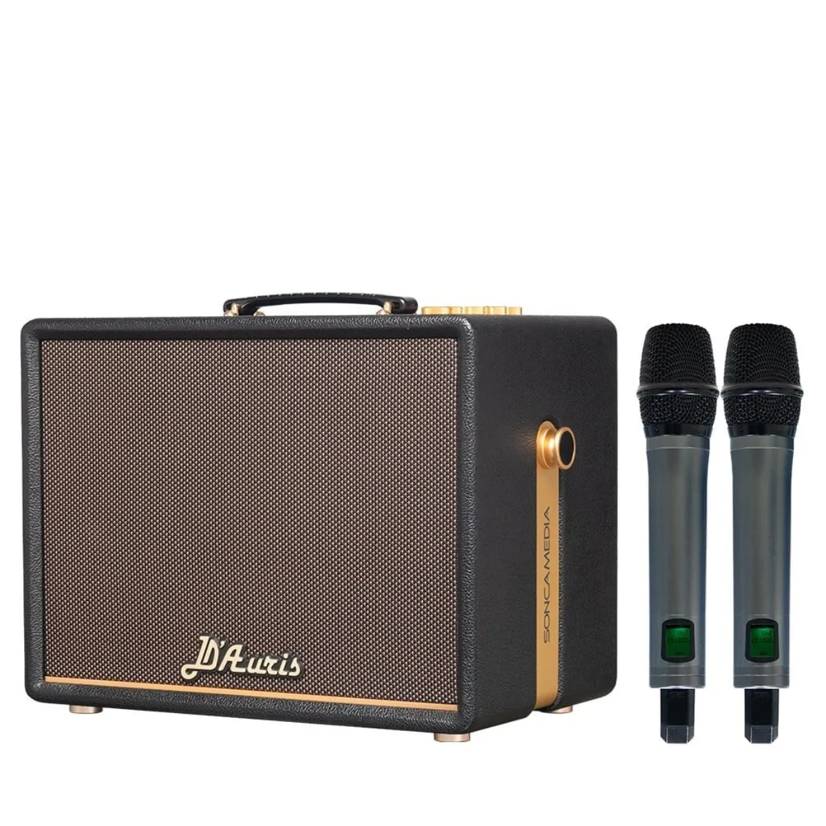 Loa Acnos D'Auris 200(Bass 25cm, 150W RMS, Kèm 2 micro) - Hình 2