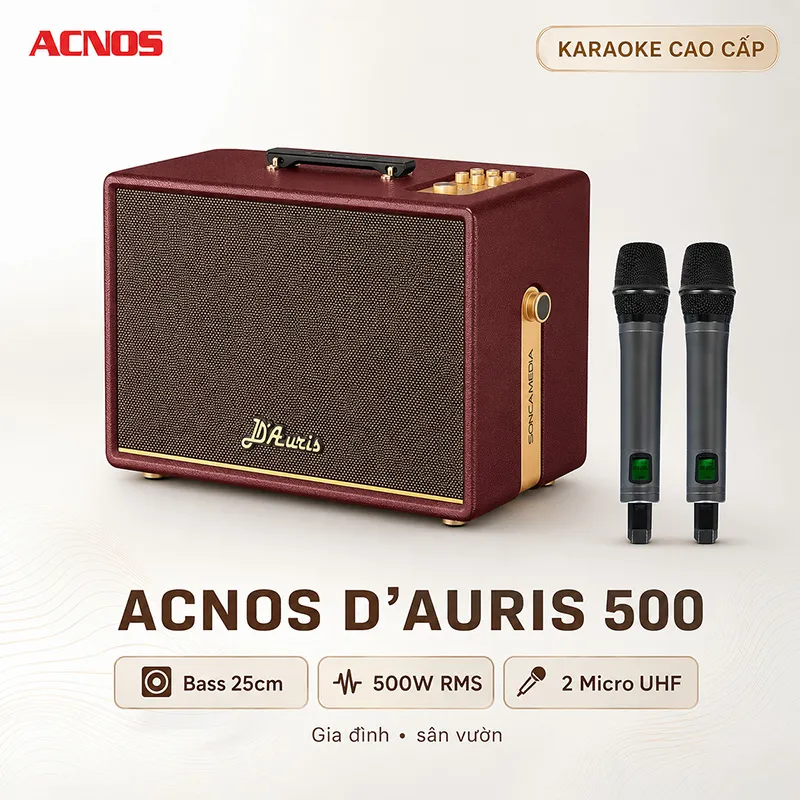 Loa Acnos D’Auris 500