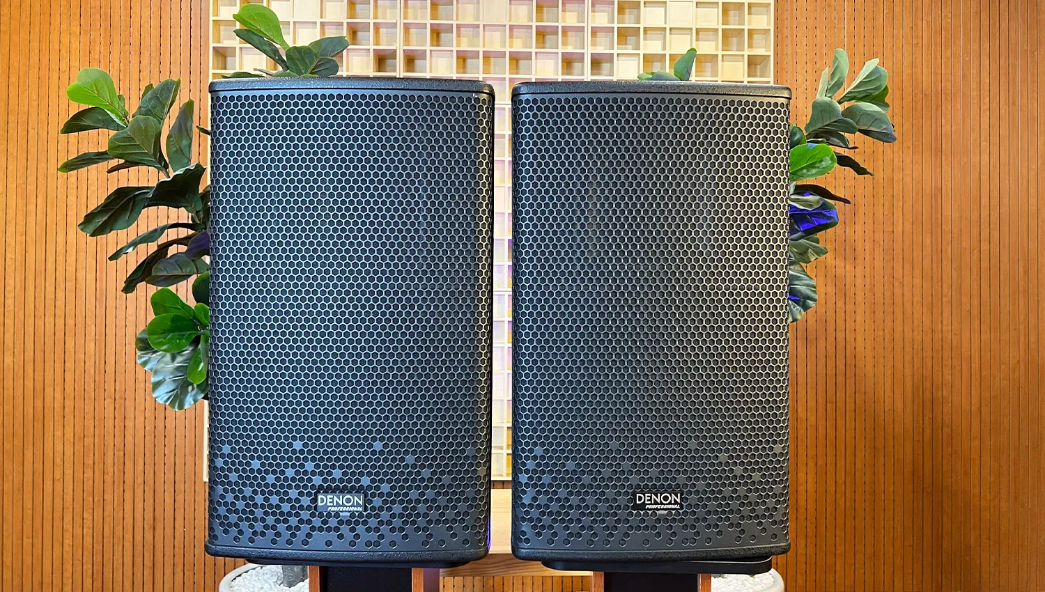 Loa Denon DP-R212