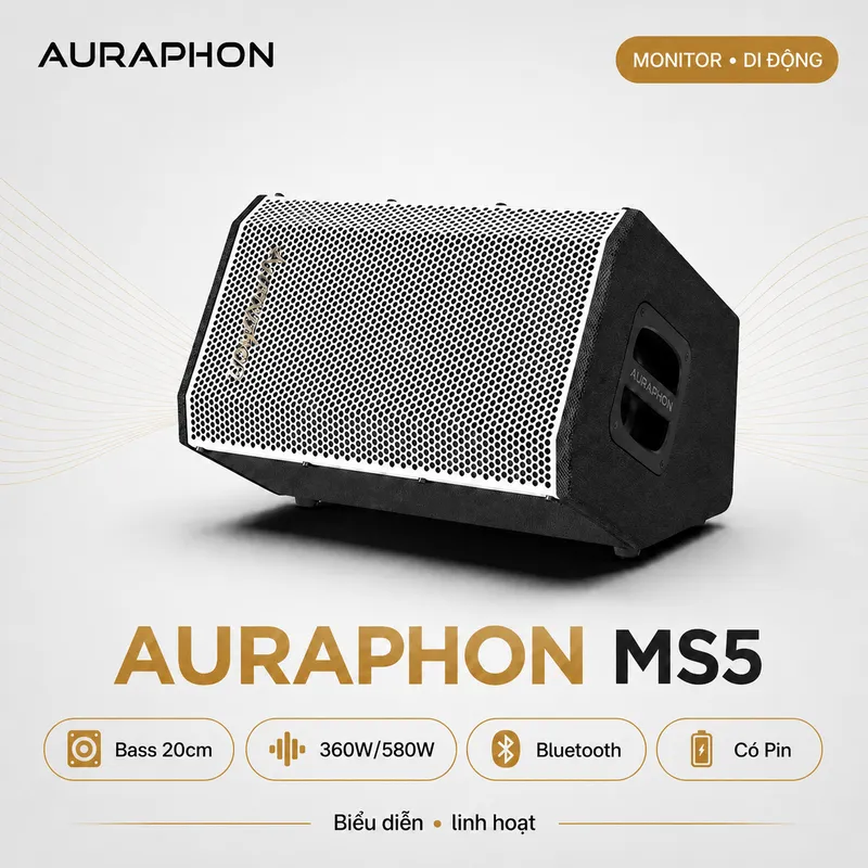 Loa di động Auraphon MS5