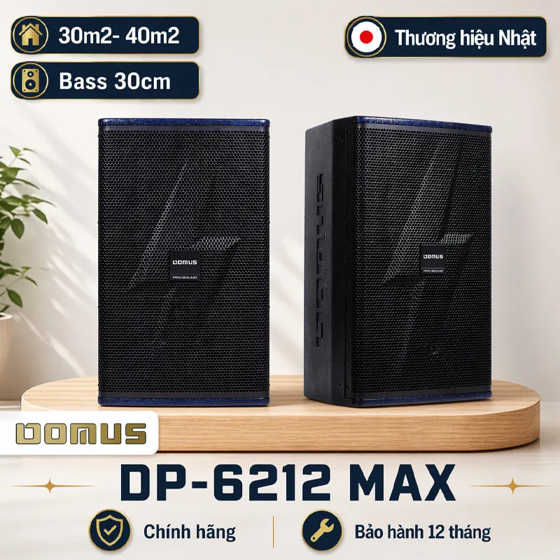 Loa Karaoke Domus DP-6212 MAX