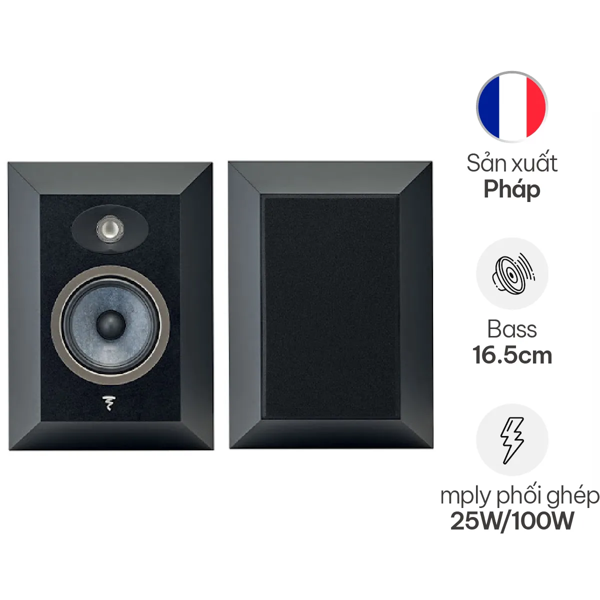 Loa Focal Theva Surround