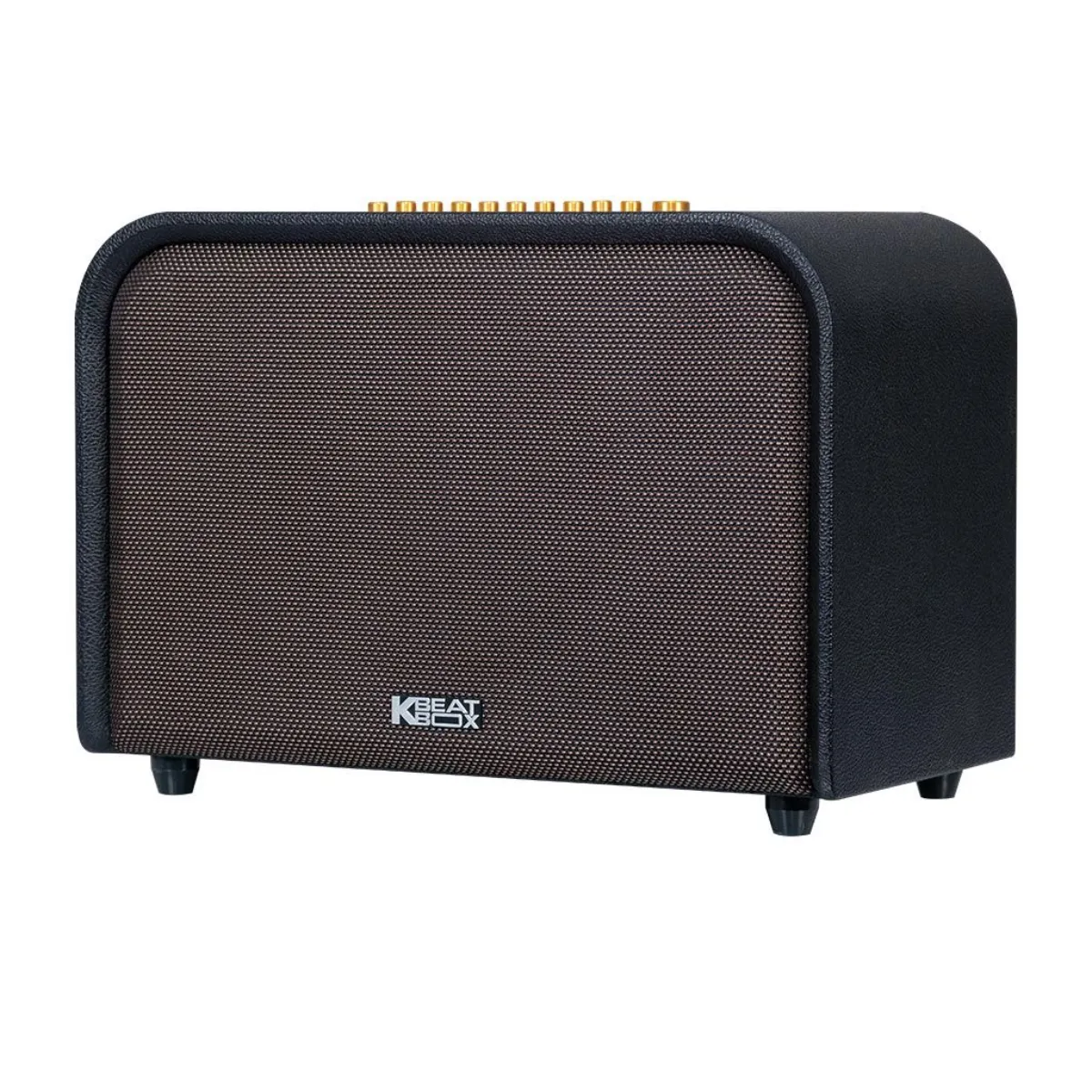 Loa Karaoke Di Động Acnos Acoustic 3