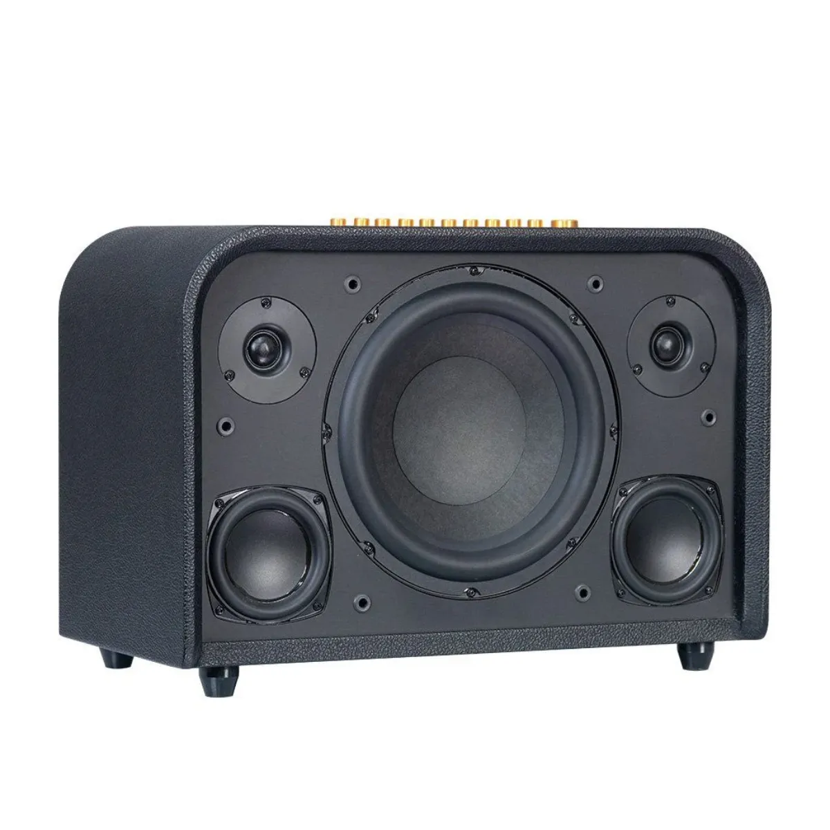 Loa Karaoke Di Động Acnos Acoustic 3