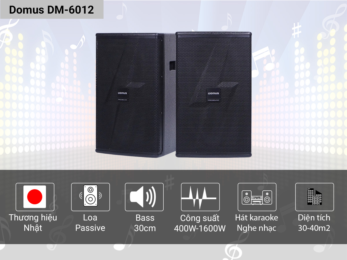 loa karaoke Domus DM-6012