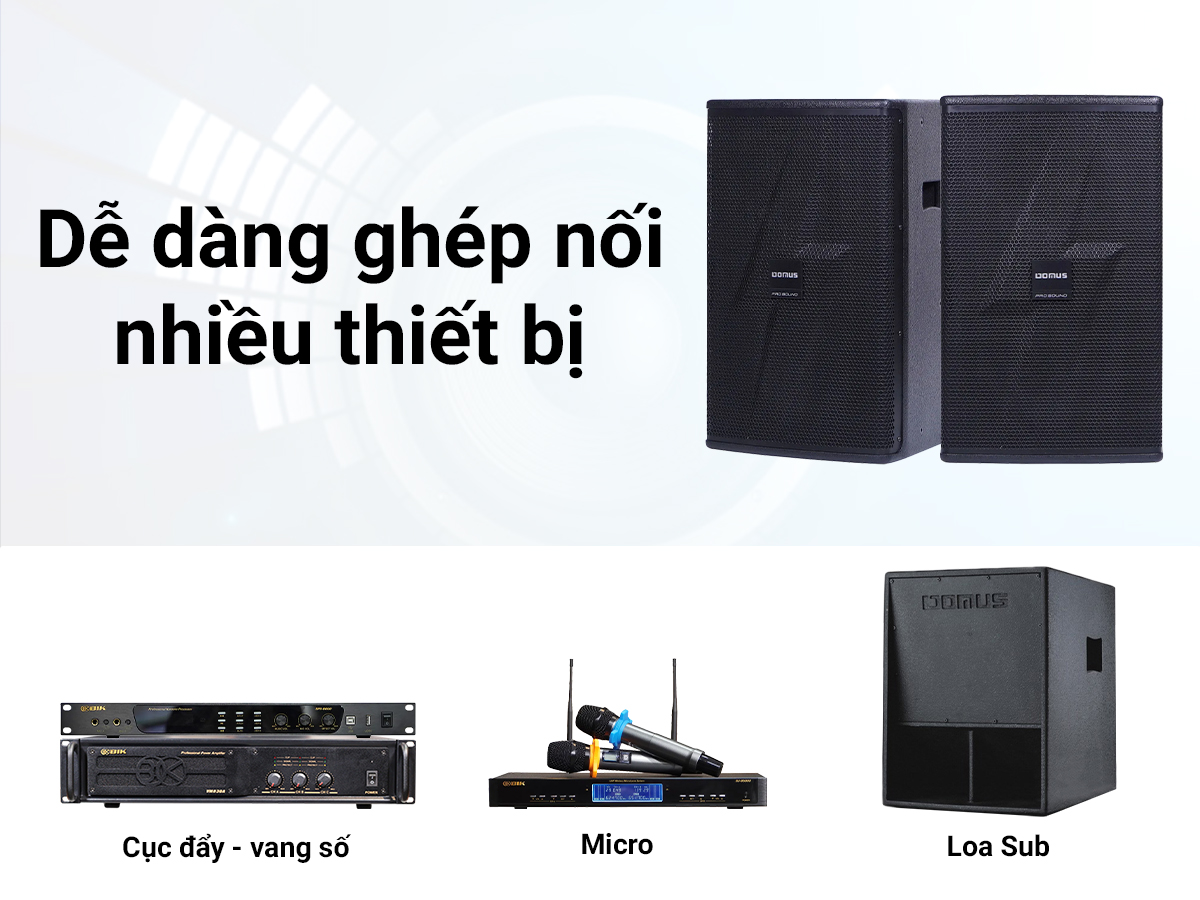 loa karaoke Domus DM-6012