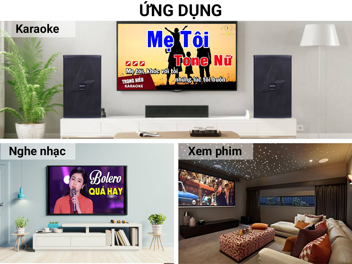 loa karaoke Domus DM-6012