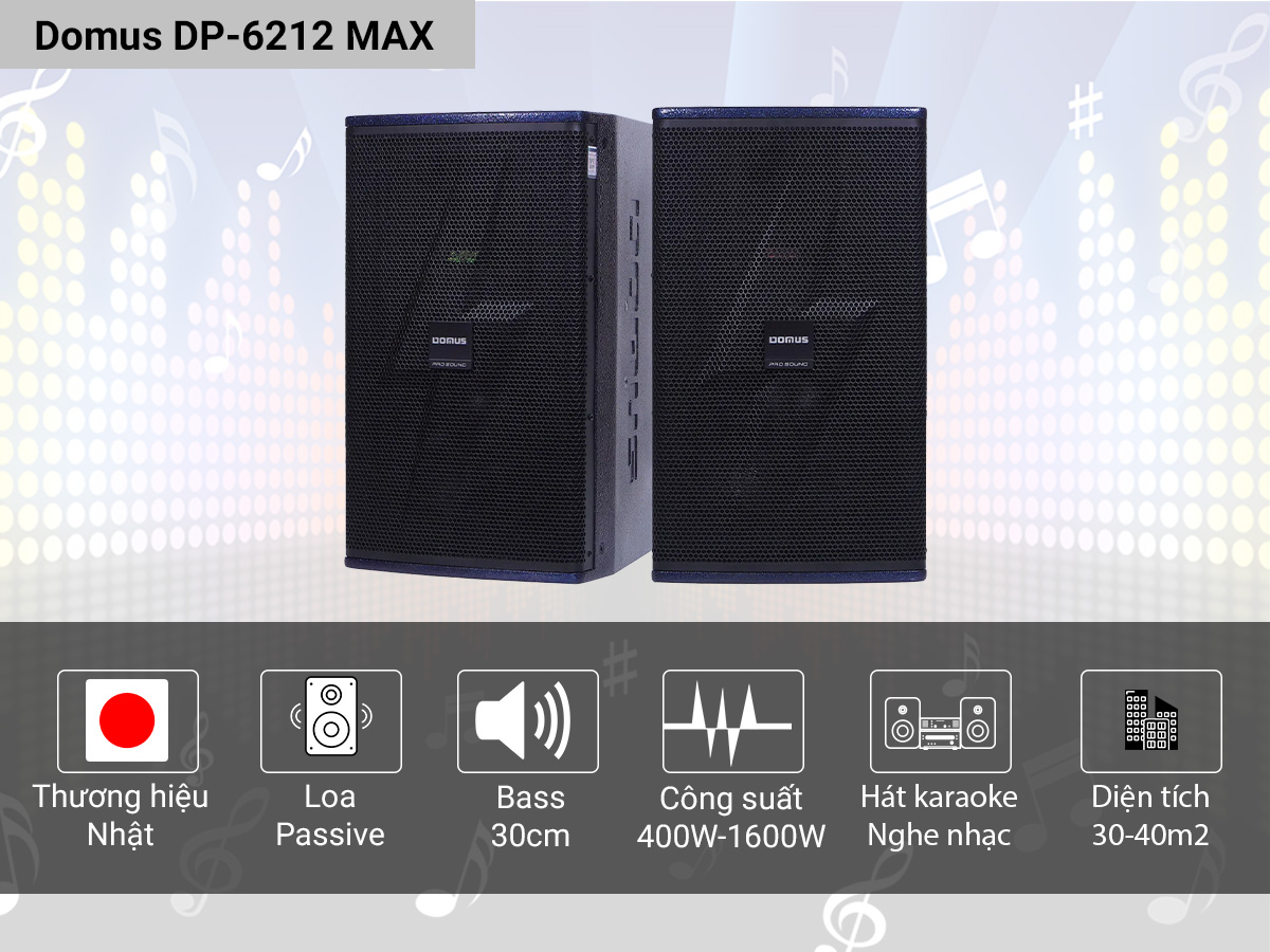 Loa karaoke Domus DP-6212 MAX