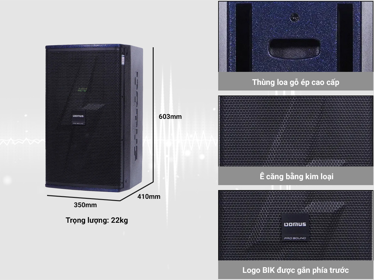 Loa karaoke Domus DP-6212 MAX