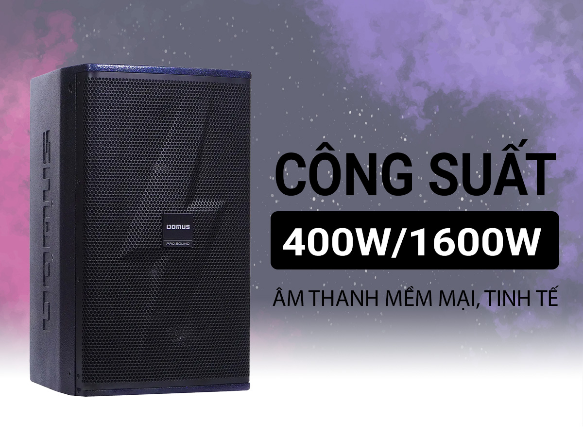 Loa karaoke Domus DP-6212 MAX