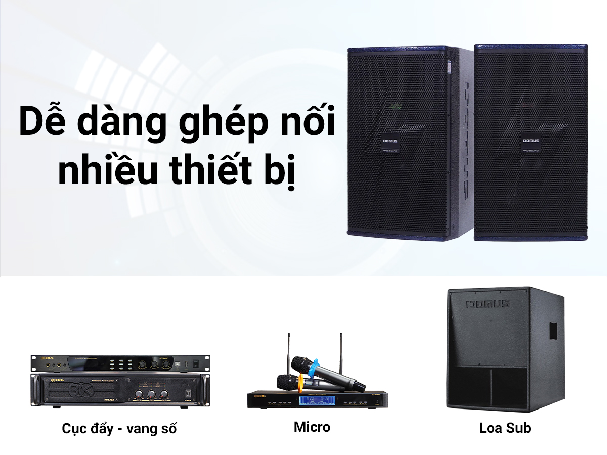 Loa karaoke Domus DP-6212 MAX
