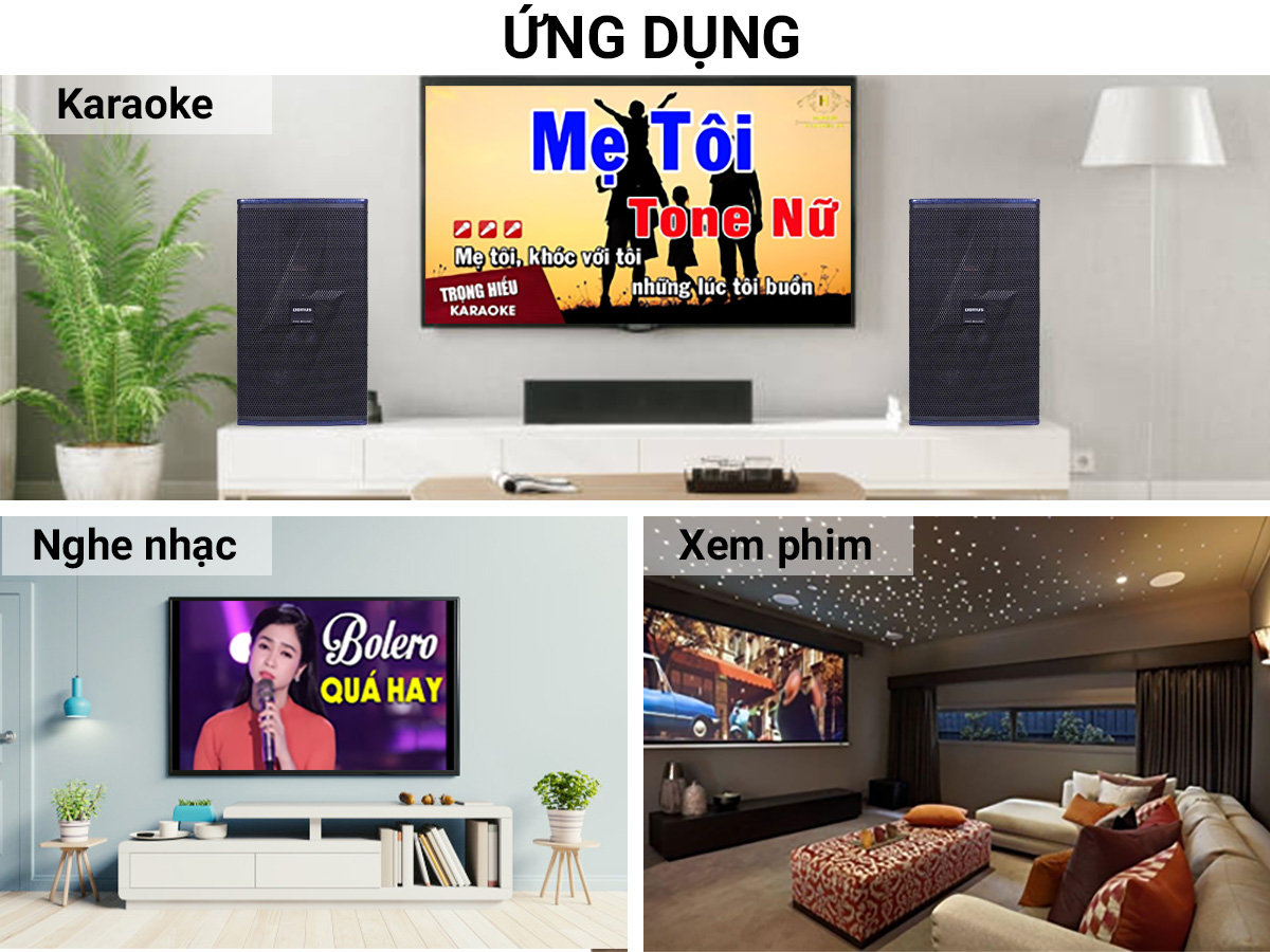 Loa karaoke Domus DP-6212 MAX