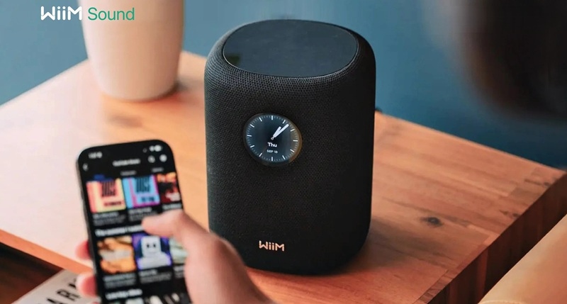 Loa WiiM Sound
