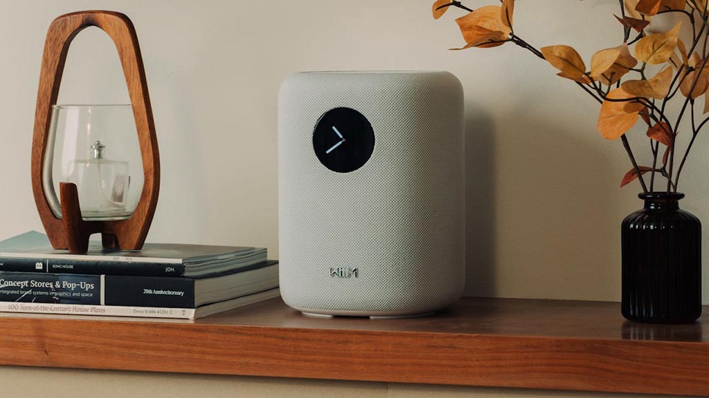 Loa WiiM Sound