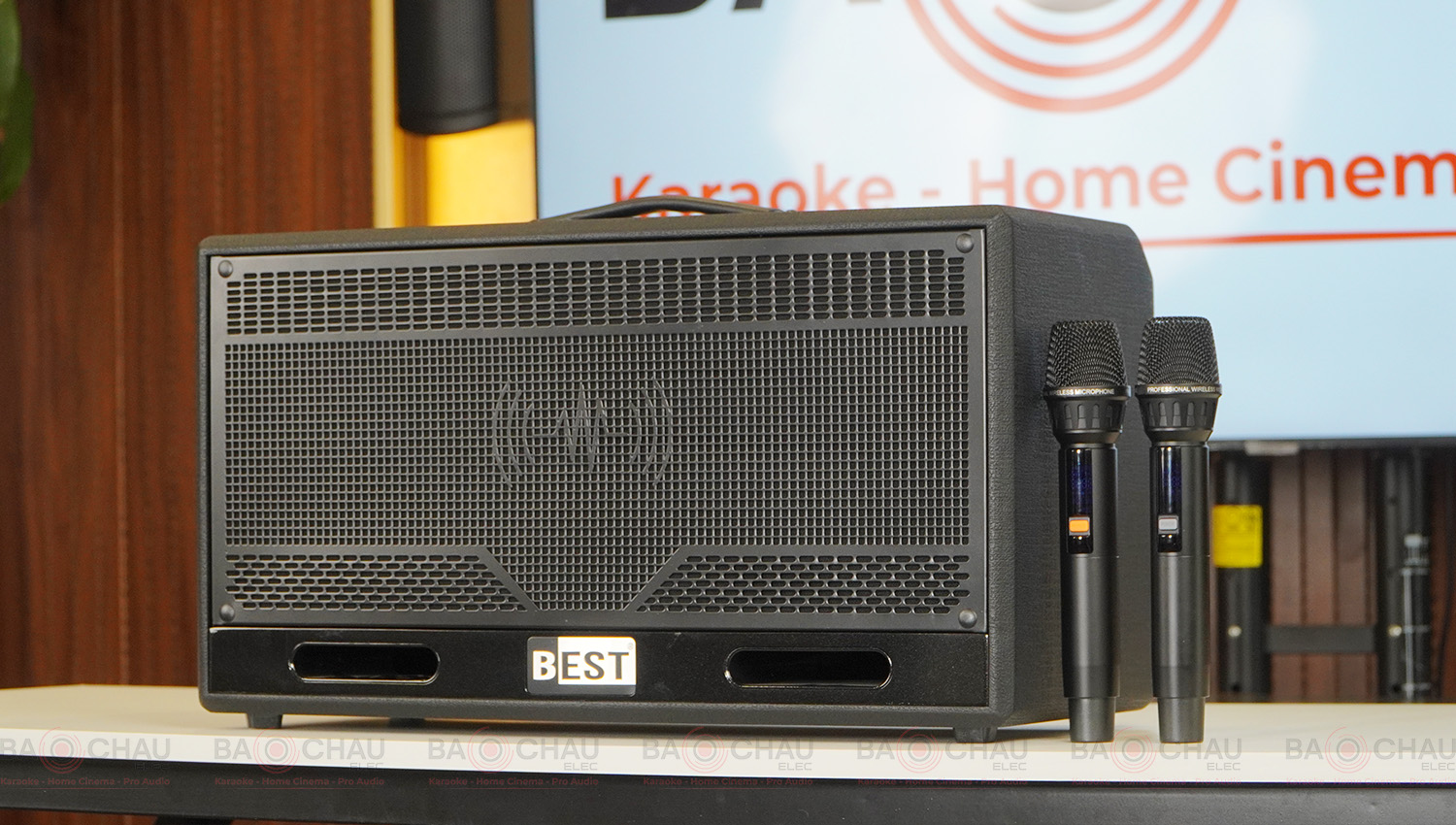 Loa karaoke x&aacute;ch tay BEST S20