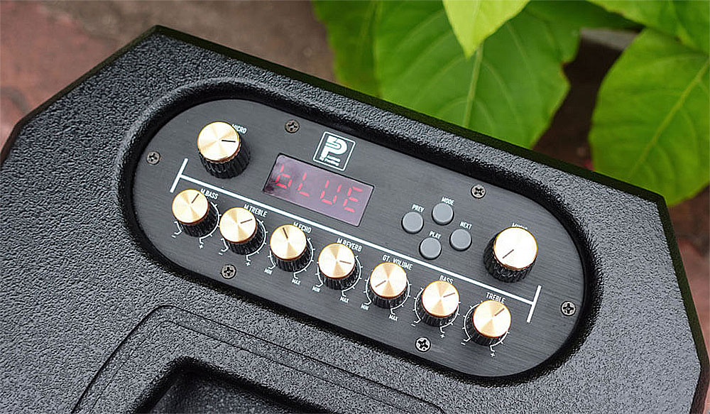 Loa xách tay Prosing PS-909