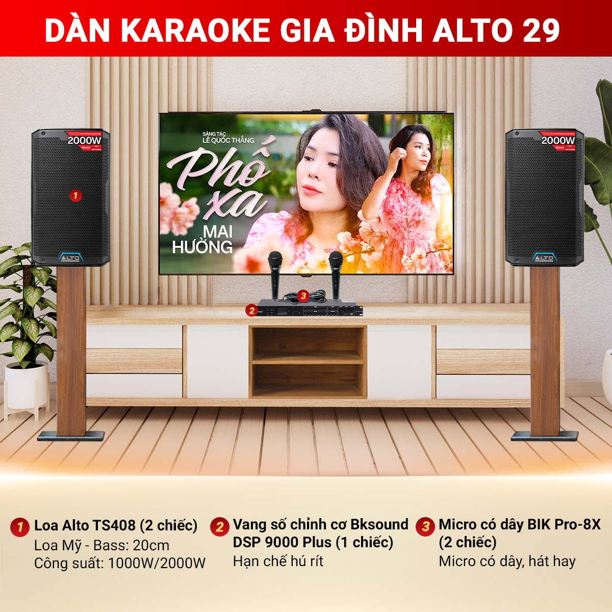 Dàn karaoke gia đình Alto 29