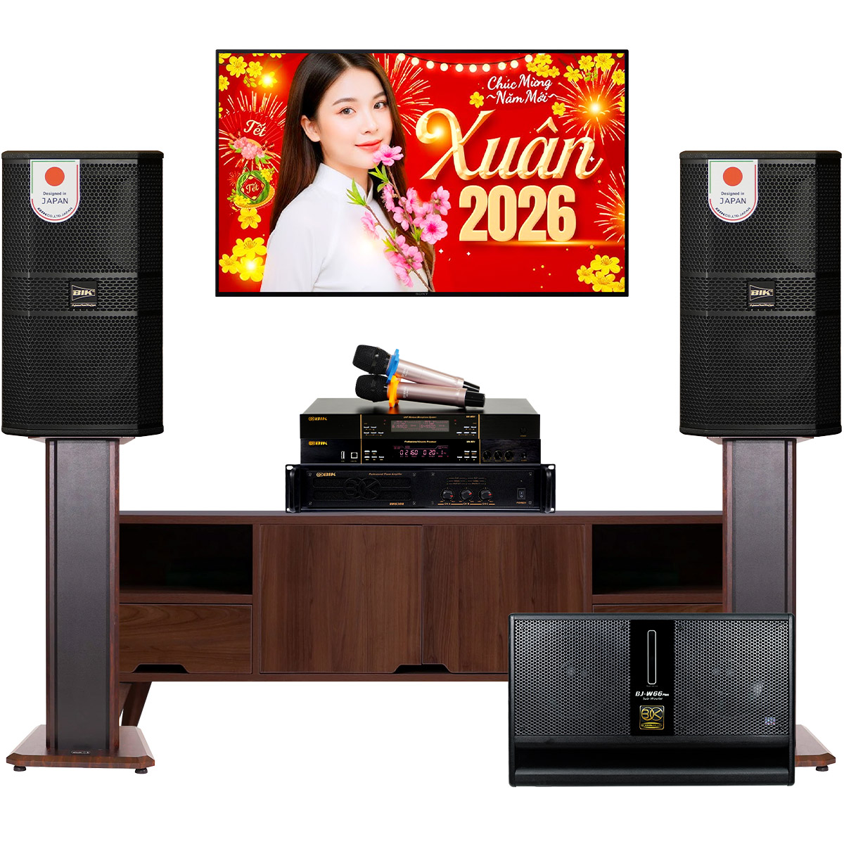 D&agrave;n karaoke gia đ&igrave;nh BIK 28