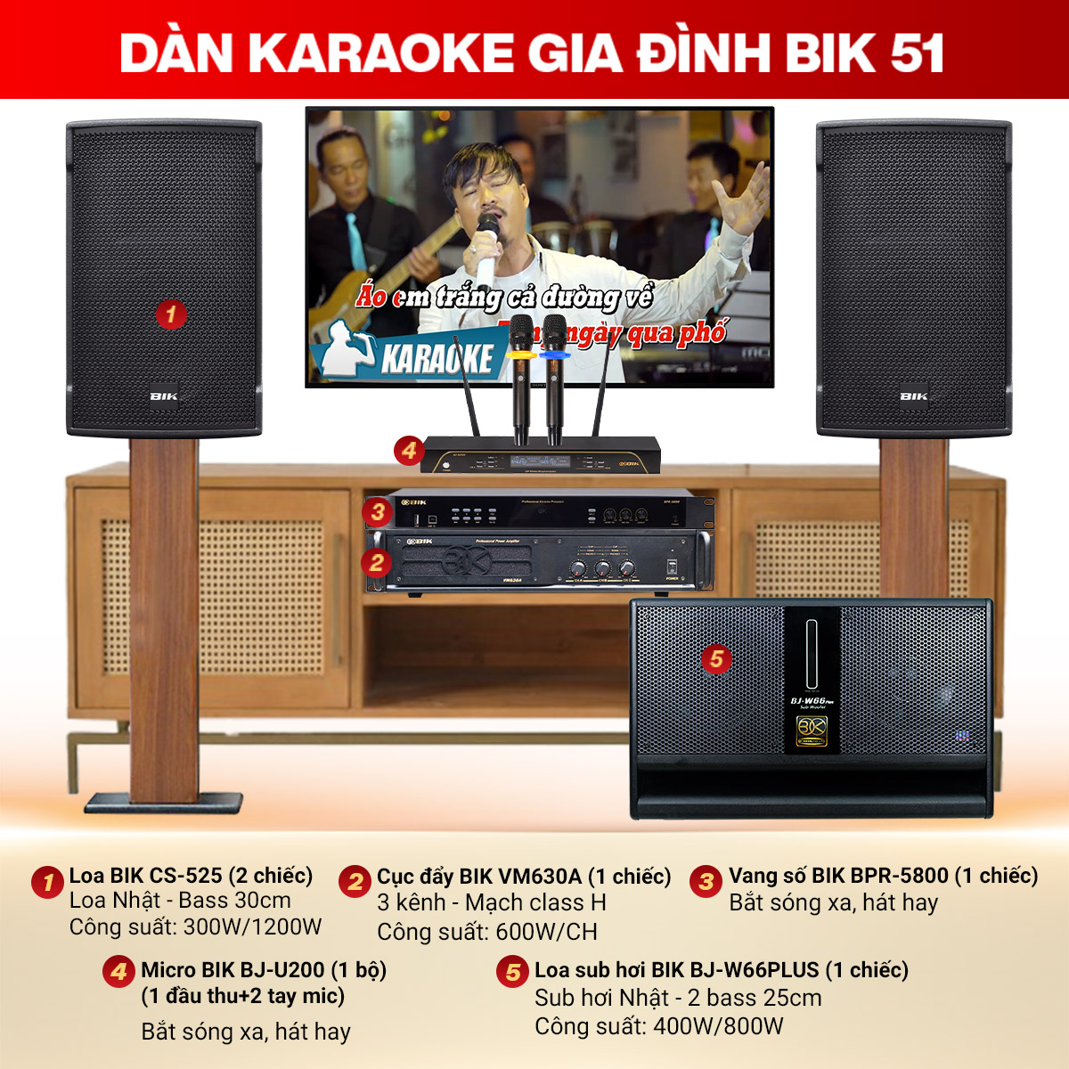 Dàn karaoke gia đình BIK 51 