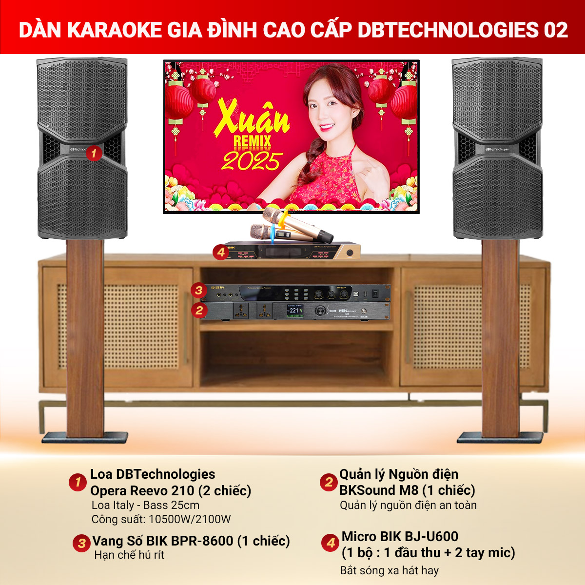 Dàn karaoke gia đình cao cấp dBTechnologies 02